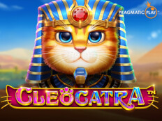 Gaminator casino slot makinesi17